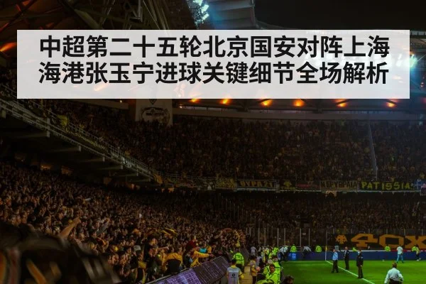 soccer stadium crowd night